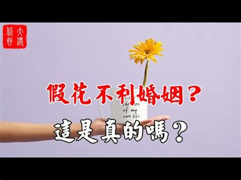 屋企放假花|家居種植風水禁忌！哪些植物品種不宜放屋企？哪種盆。